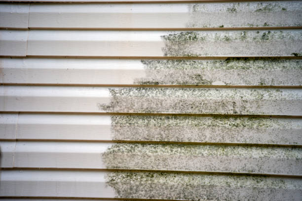Best Furniture Removal  in Oswego, NY