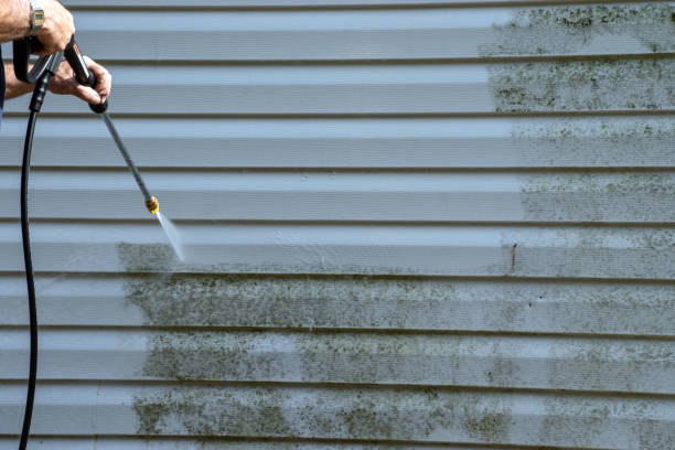 Best Shed Removal  in Oswego, NY